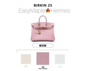 Birkin 25 Togo