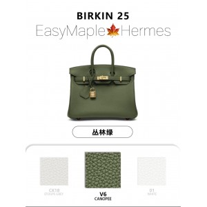 Birkin 25 Togo