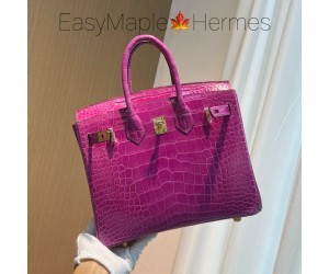   Croco Birkin 25